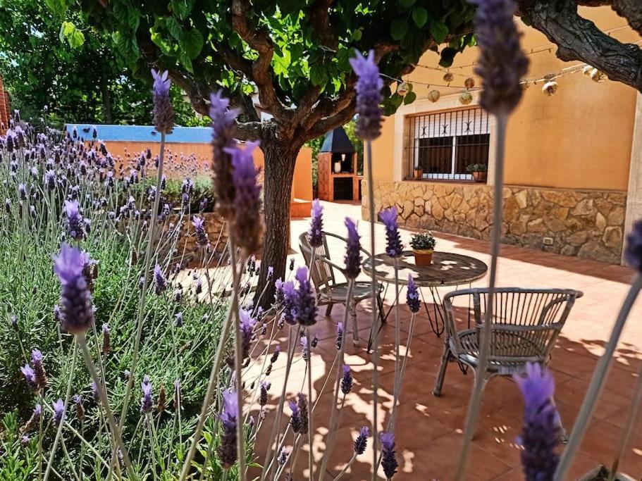 커닛 Mas Del Vent- Barbacoa, Jardin, Piscina Privada Y Vistas A Mar 빌라 외부 사진