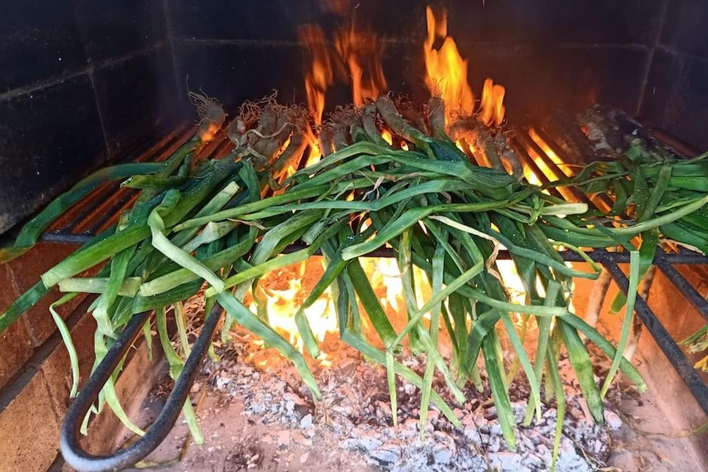 커닛 Mas Del Vent- Barbacoa, Jardin, Piscina Privada Y Vistas A Mar 빌라 외부 사진